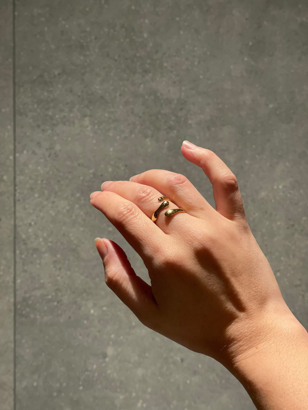 DRIP RING